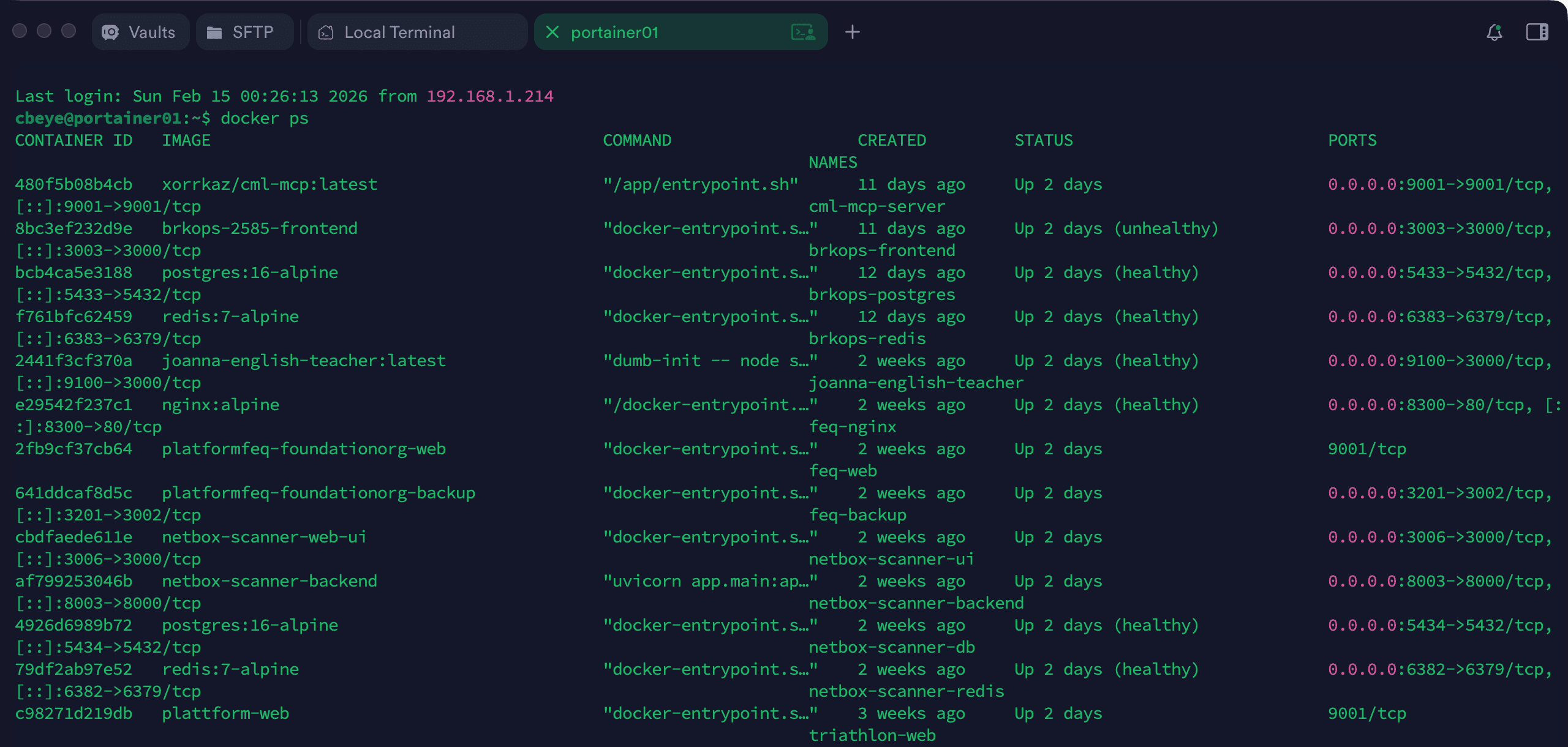 Ausgabe von docker ps mit laufenden Containern und deren Status